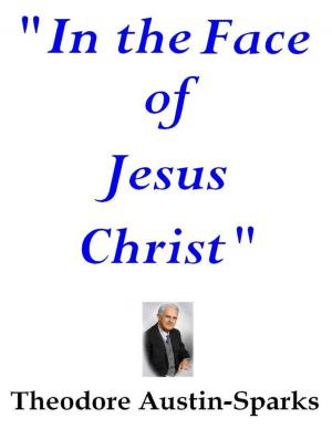 Cover of the book "In the Face of Jesus Christ" by Ashlie Knapp