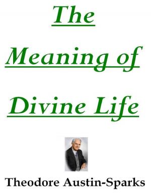 Cover of the book The Meaning of Divine Life by Jimmy Boom Semtex