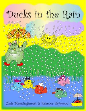 Cover of the book Ducks in the Rain by Troy C. Stewart, Sr., MSP, MA, BS