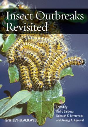 Cover of the book Insect Outbreaks Revisited by Ugo Rossi