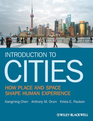 Cover of the book Introduction to Cities by Daniela Gamenara, Gustavo Seoane, Patricia Saenz Méndez, Pablo Domínguez de María
