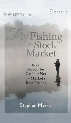Cover of the book Fly Fishing the Stock Market by Steve Bergsman