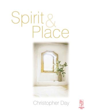 Cover of the book Spirit and Place by Akira Iriye