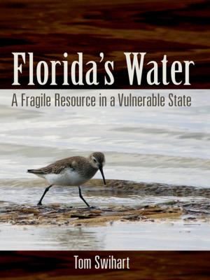 Cover of the book Florida's Water by Eve Gregory, Ann Williams