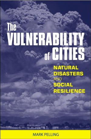 Cover of the book The Vulnerability of Cities by Lisa Harrison, Adrian Little, Ed Lock