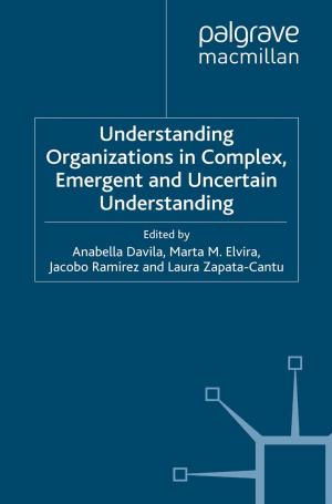 Cover of the book Understanding Organizations in Complex, Emergent and Uncertain Environments by Jodie Clark
