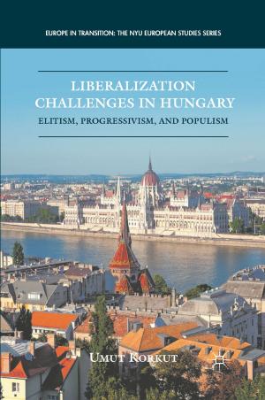 Cover of the book Liberalization Challenges in Hungary by W. Steding