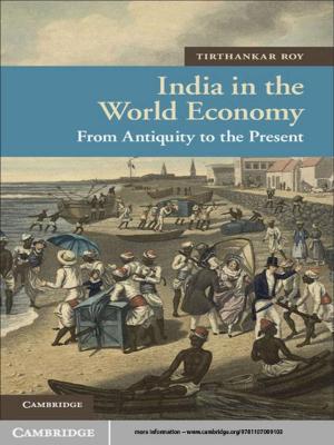 Cover of the book India in the World Economy by Robin Feldman, Evan Frondorf