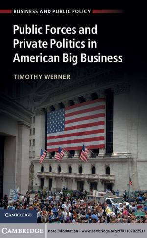 Book cover of Public Forces and Private Politics in American Big Business