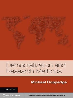 Cover of the book Democratization and Research Methods by Stephen Greenblatt, Ines Županov, Reinhard Meyer-Kalkus, Heike Paul, Pál Nyíri, Frederike Pannewick