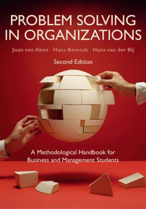 Cover of the book Problem Solving in Organizations by Gary W. Kronk, Maik Meyer, David A. J. Seargent