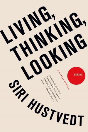 Cover of the book Living, Thinking, Looking by John McManus