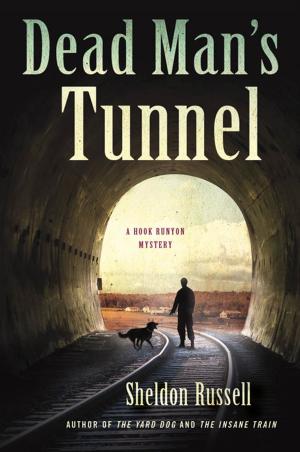 Book cover of Dead Man's Tunnel