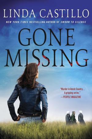 Cover of the book Gone Missing by Vinnie Hansen