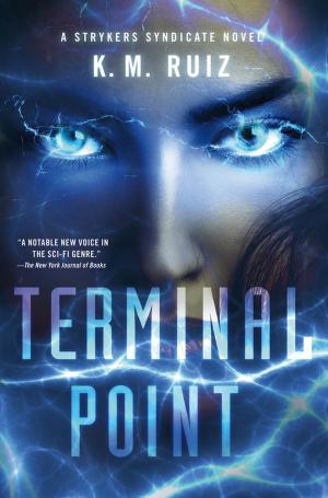 Cover of the book Terminal Point by Jean-Luc Bannalec