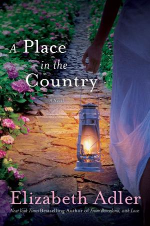 Cover of the book A Place in the Country by Bert Pluymen
