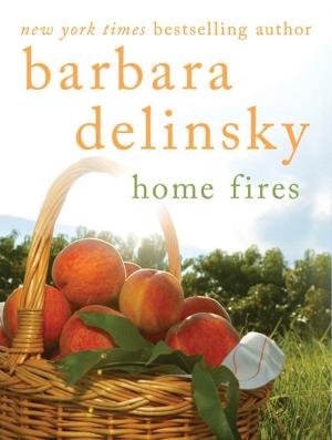 Cover of the book Home Fires by Phillip DePoy