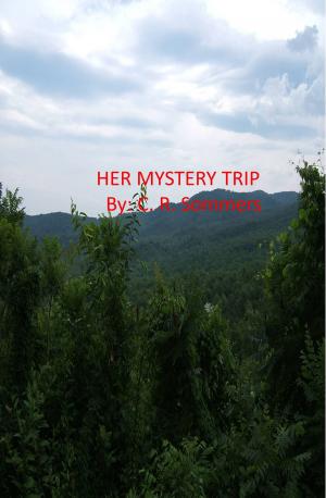 Cover of the book Her Mystery Trip by Phillip Rhoades