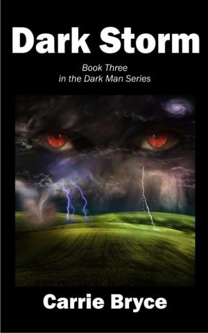 Book cover of Dark Storm