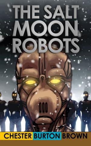 Cover of the book The Salt Moon Robots by Jack Kardiac