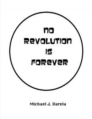 Book cover of No Revolution Is Forever