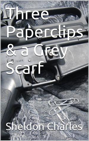 Cover of the book Three Paperclips & a Grey Scarf by Evelina DOS SANTOS