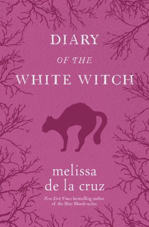 Book cover of Diary of the White Witch