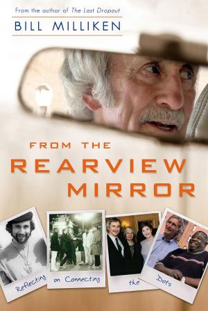 Cover of the book From the Rearview Mirror by John C. Parkin