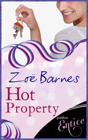 Cover of the book Hot Property by Jenny Cockell