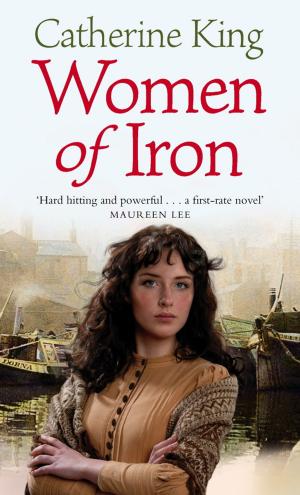 Cover of the book Women Of Iron by Sarah Flower