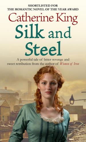 Cover of the book Silk And Steel by Robert Clifford