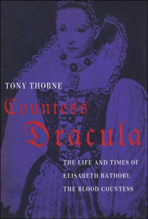 Cover of the book Countess Dracula by Jon Raymond