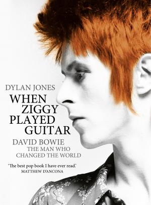 Book cover of When Ziggy Played Guitar