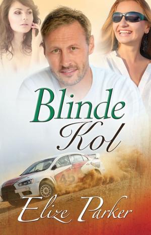 bigCover of the book Blinde Kol by 