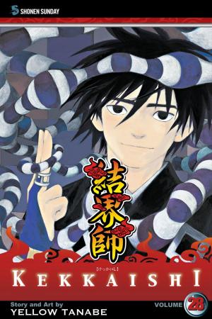 bigCover of the book Kekkaishi, Vol. 28 by 
