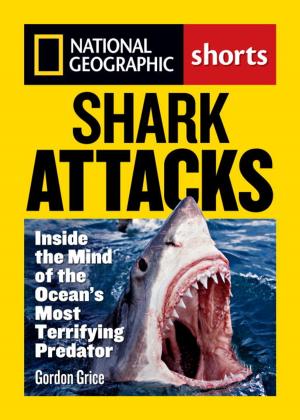 Book cover of Shark Attacks