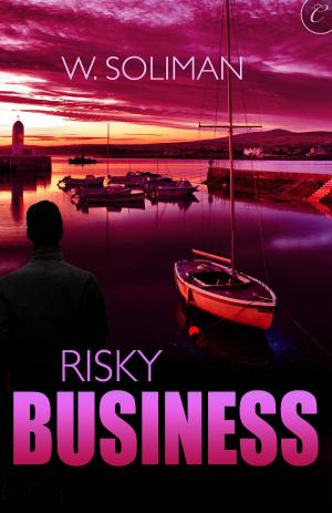 Cover of the book Risky Business by Lilly Cain