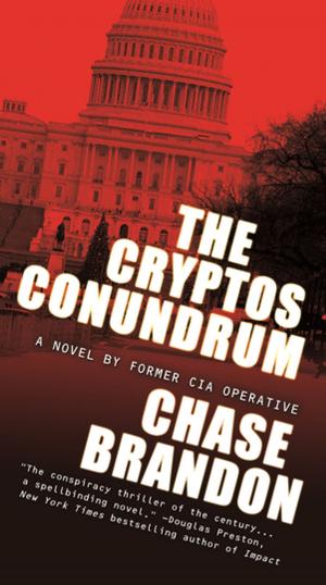 Cover of the book The Cryptos Conundrum by Ilana C. Myer