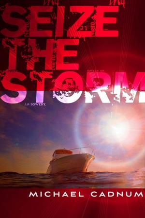 bigCover of the book Seize the Storm by 