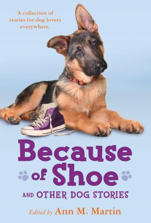 Book cover of Because of Shoe and Other Dog Stories