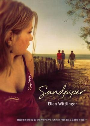 Cover of the book Sandpiper by L. Tam Holland