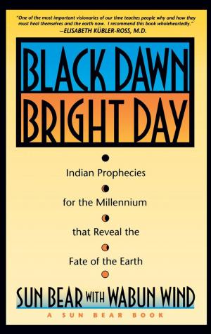 Book cover of Black Dawn, Bright Day