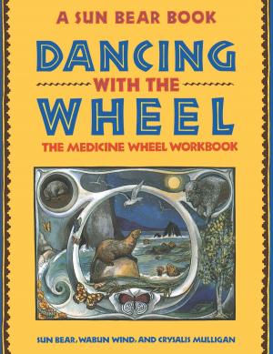 Cover of the book Dancing with the Wheel by Jamie McGuire