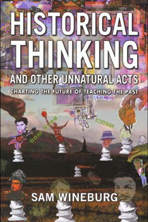 Cover of the book Historical Thinking by Dan Rottenberg