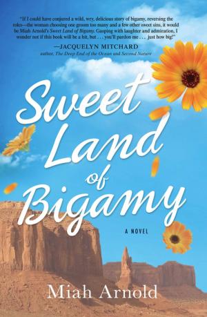 Cover of the book Sweet Land of Bigamy by Ian Halperin