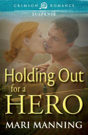 Cover of the book Holding Out For a Hero by M.J. Porteus, R D Blackmore