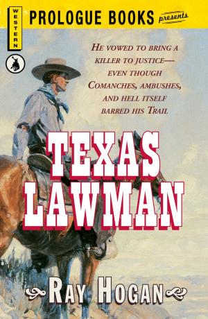 bigCover of the book Texas Lawman by 