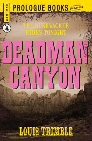 Cover of the book Deadman Canyon by Todd Aaron Jensen