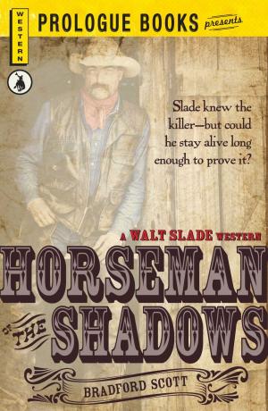 Cover of the book Horseman of the Shadows by Korrel Kanoy