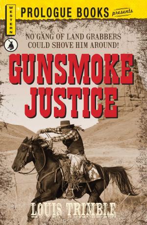 Book cover of Gunsmoke Justice